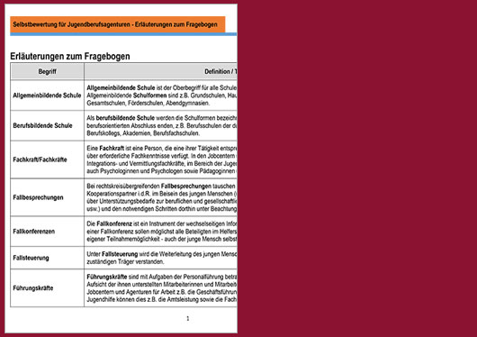 Auszug der Fachlichen Erluterungen zum Fragebogen erstellt von der Bundesagentur fr Arbeit